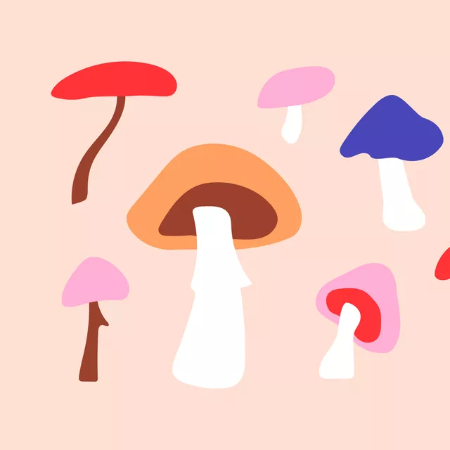 Tischset Mushrooms in my Kitchen