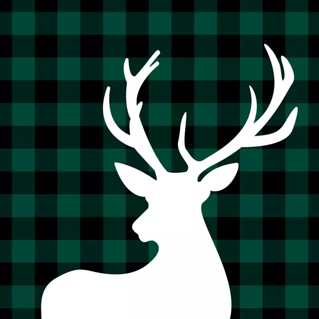 Kissen Christmas Deer Green Checked