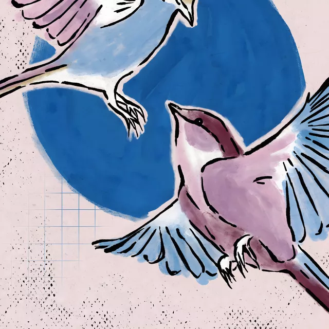 Geschirrtücher Two Birds | Watercolor