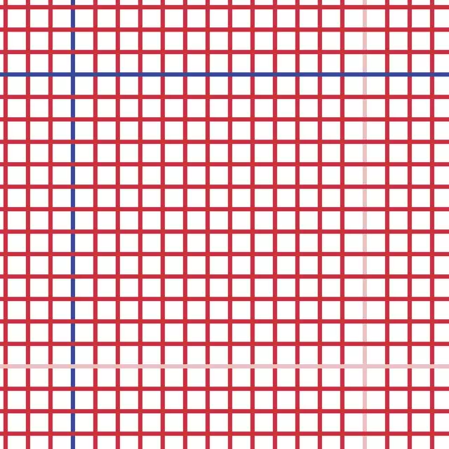 Geschirrtuch Grid Rot Blau Rosa