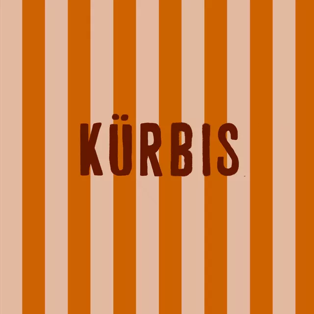 Kissen Kürbis Braun Streifen Orange