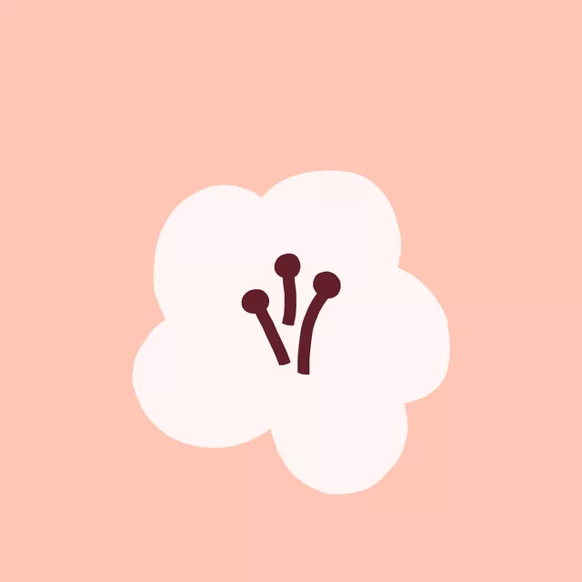 Kissen Blume Rosa Bordeaux