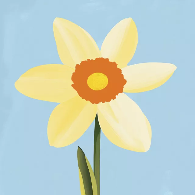Kissen Frühling Narzisse