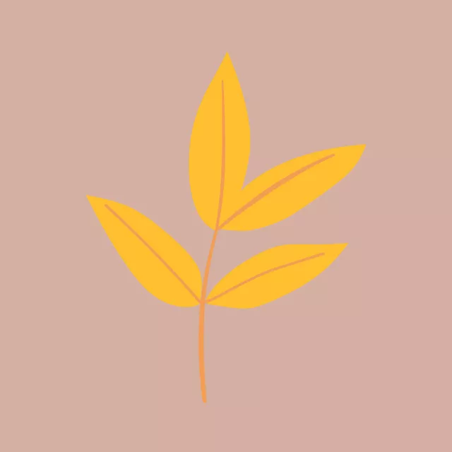 Kissen Herbstzauber Blatt - nude