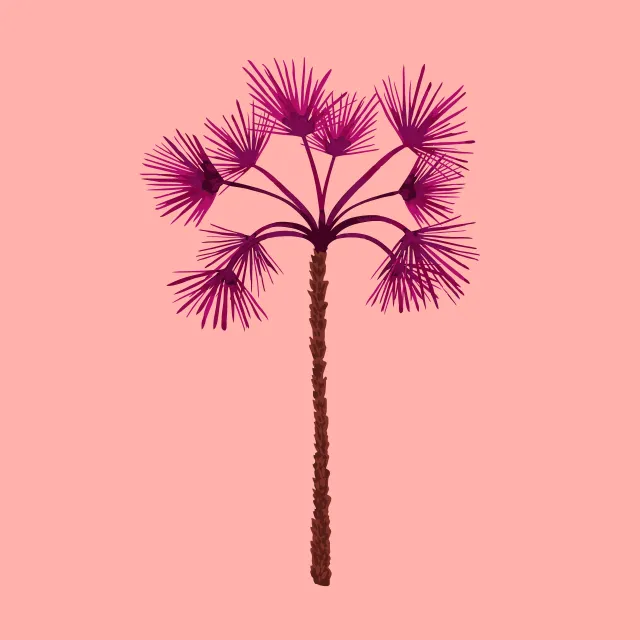 Kissen Tropical Palmtree pink