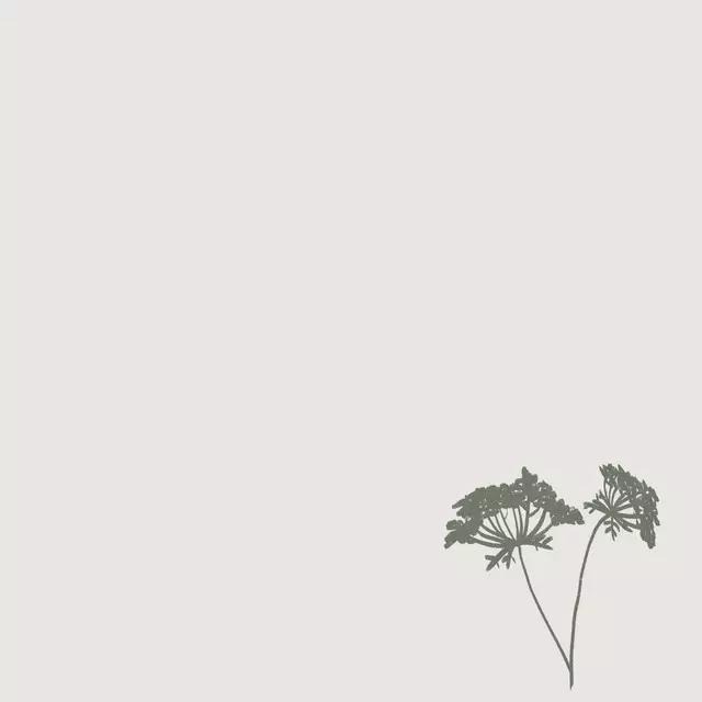 Kissen Wilde Möhre Pur Grün Hell