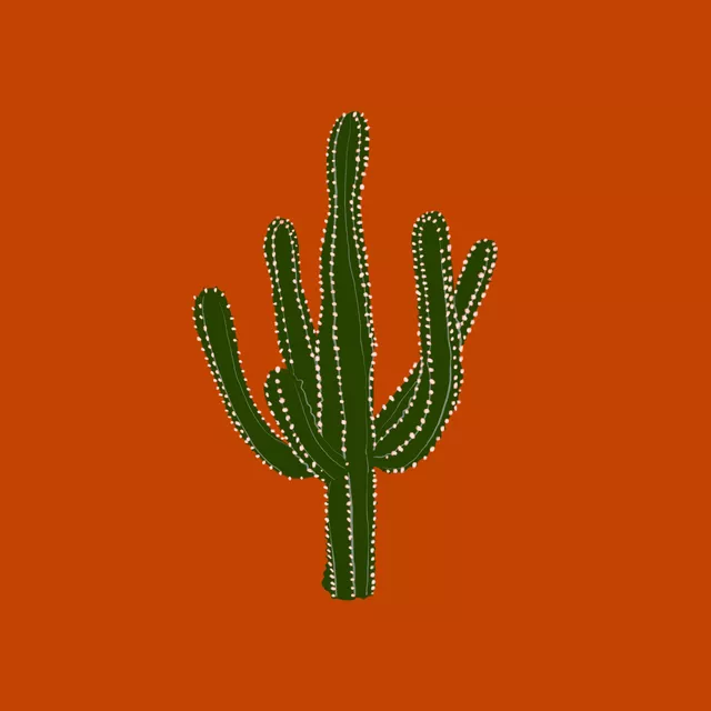 Kissen Kaktus Orange