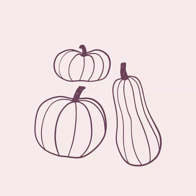 Tischdecke Kürbis Lila Beige Wendekissen