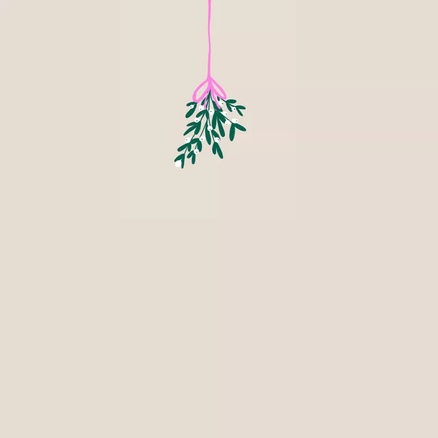 Kissen Mistletoe Kollektion Pink