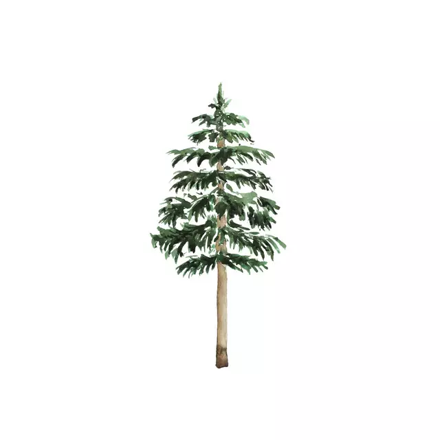 Kissen Tannenbaum im Schnee