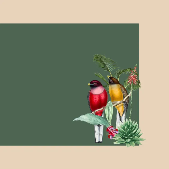 Tischset Tropischer Regenwald beige