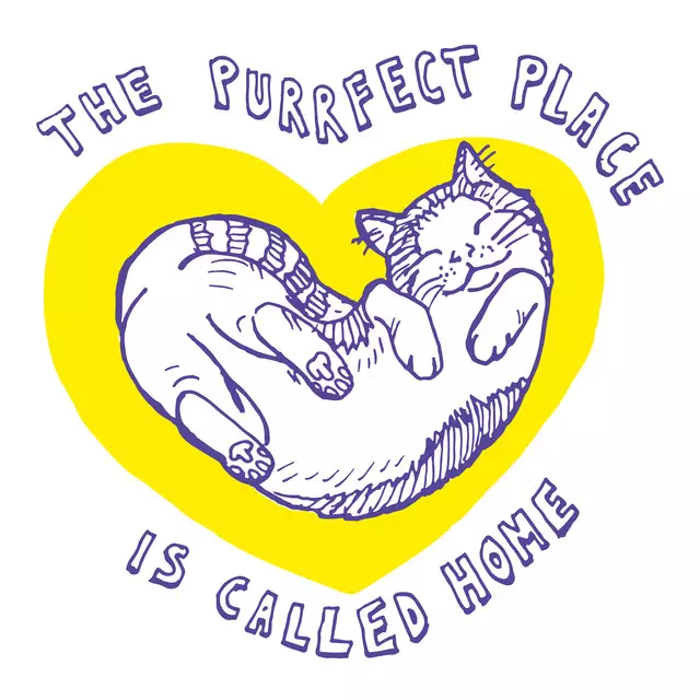 Dekovorhang The purrfect place