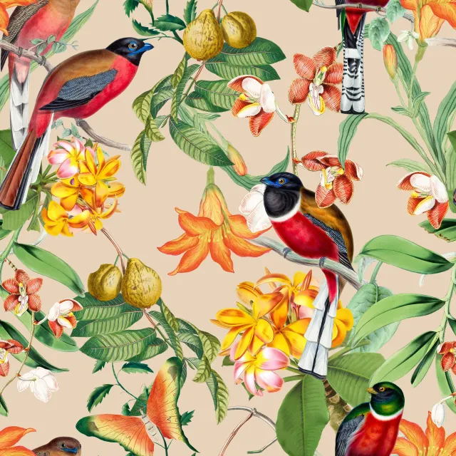 Kissen Bunte tropische Vögel beige