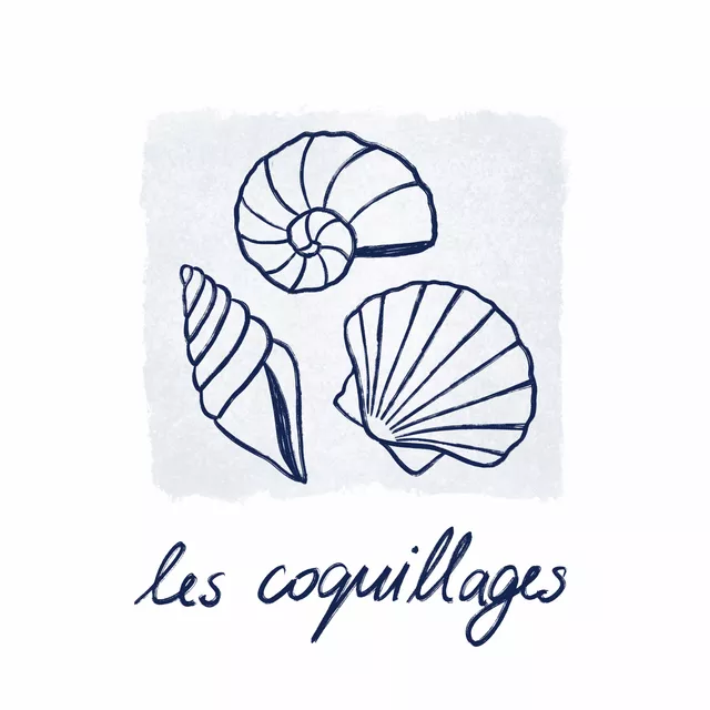 Tischset Les Coquillages