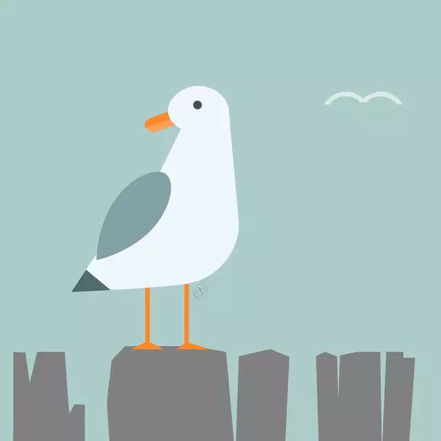 Bettwäsche Möwe