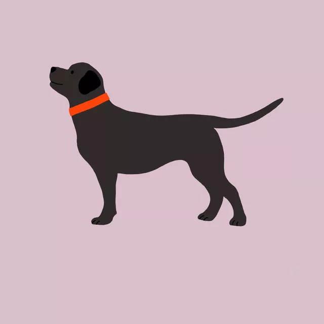 Servietten Schwarzer Labrador