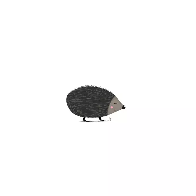 Kissen Igel auf Reisen
