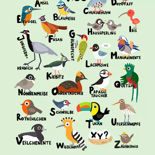 Bettwäsche Vogel ABC