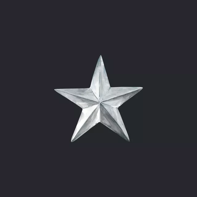 Kissen Silberner Stern anthrazit