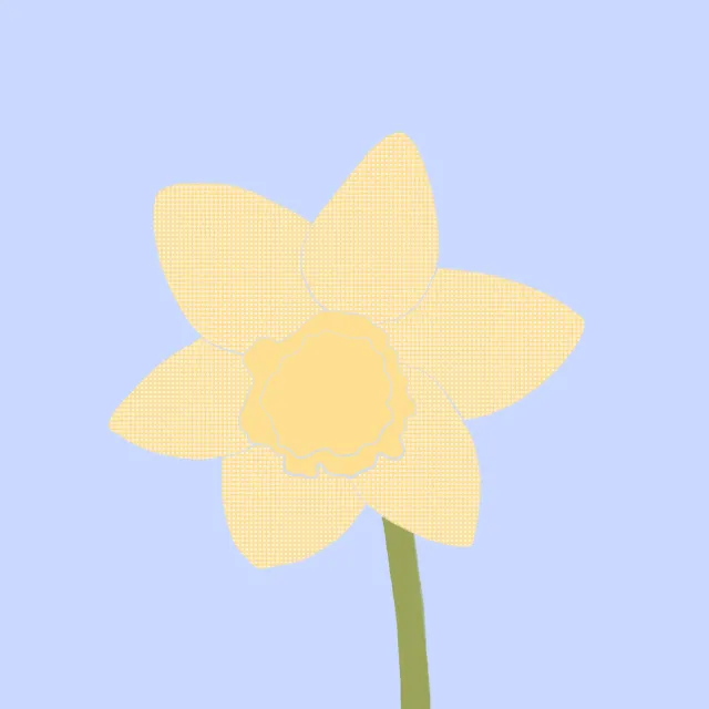 Kissen Osterglocke Blau