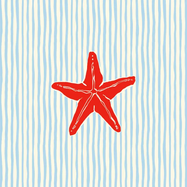Kissen Santorini Red Starfish Stripes