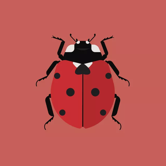 Kissen Lucky Ladybug