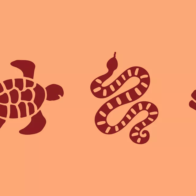 Kissen Schlange 1 Wendemotiv