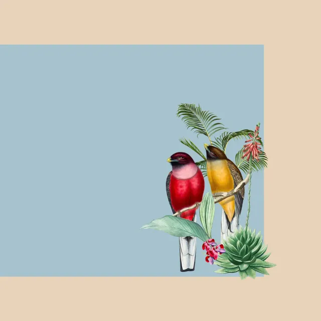 Tischset Tropischer Regenwald blau