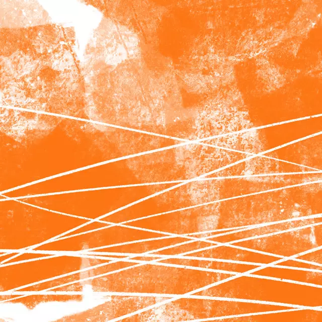 Geschirrtücher Abendlicht