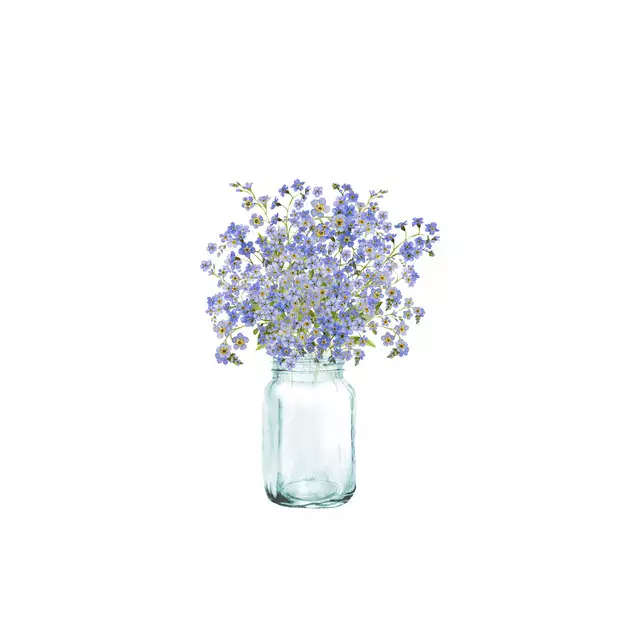 Kissen Vergissmeinnicht Vase