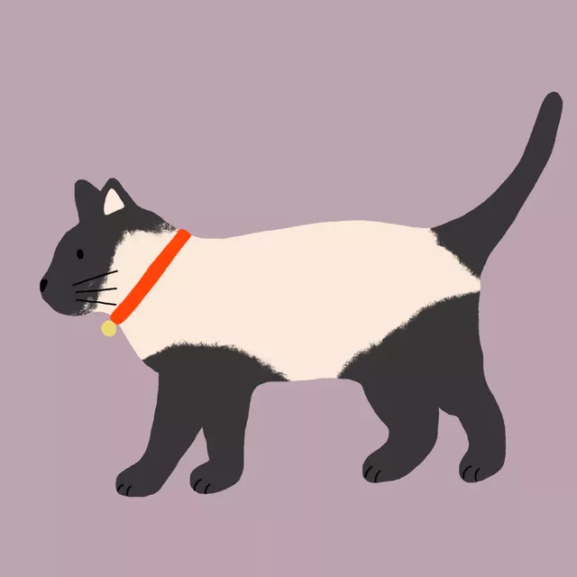 Kissen Siamesische Katze mit Halsband