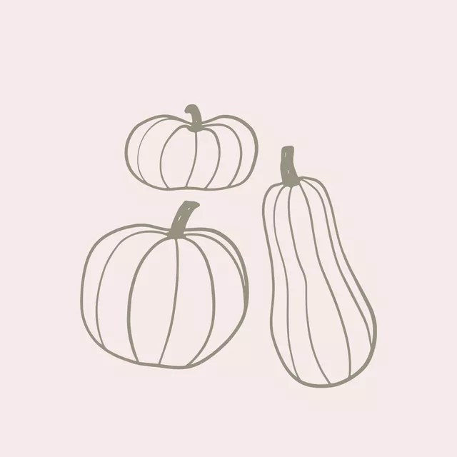 Kissen Kürbis Grün Beige Wendekissen