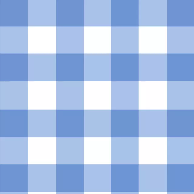 Kissen Karo Blau Weiss