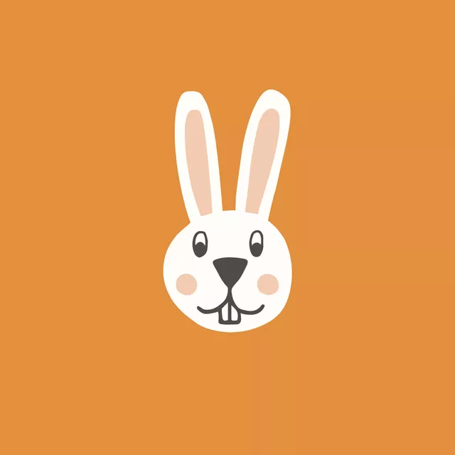 Kissen Funny Bunny orange