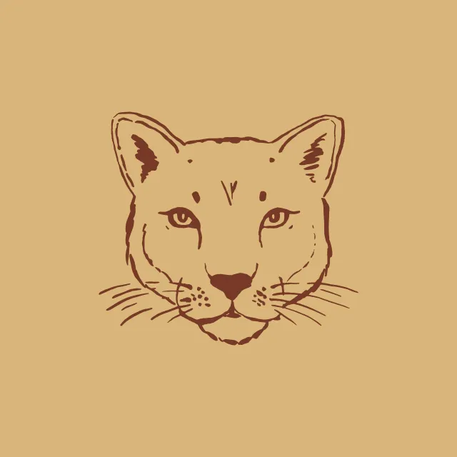 Geschirrtücher Mountain Puma