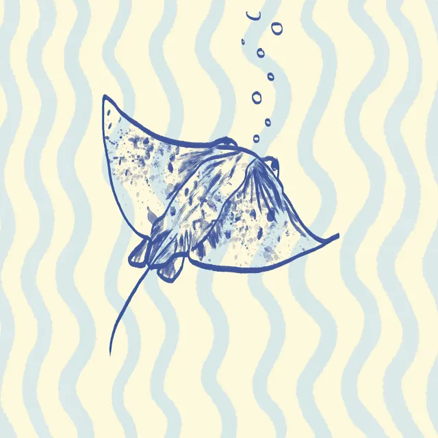 Geschirrtücher Rochen