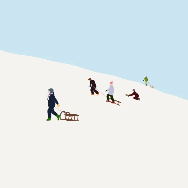 Kissen Schlittenberg