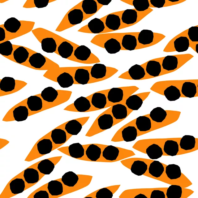 Bettwäsche Cornfield Orange