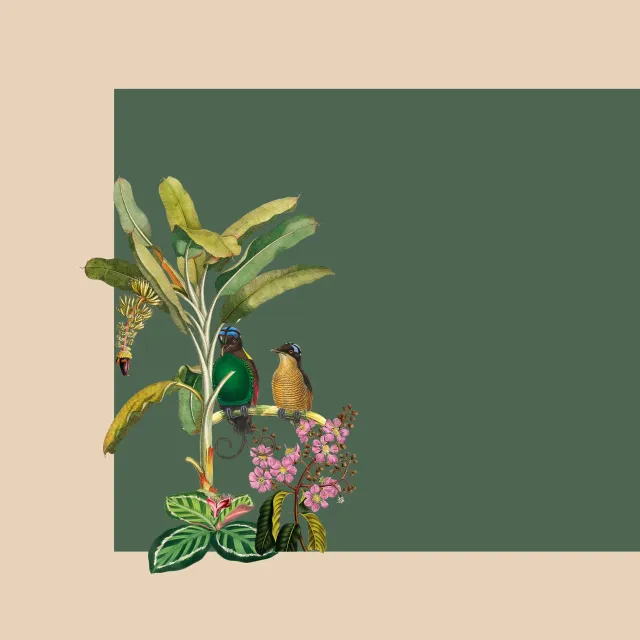 Tischset Exotischer Dschungel beige