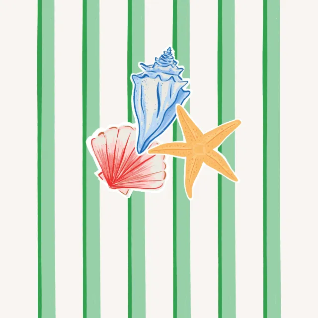 Kissen Muschel Streifen grün