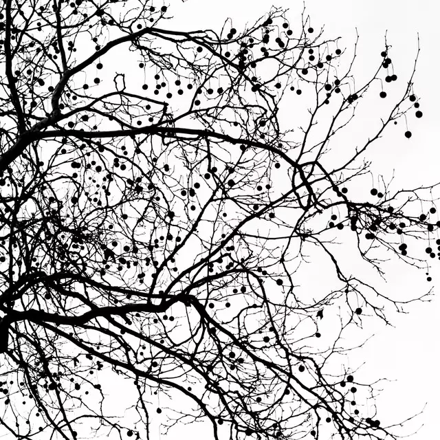 Kissen Winter Silhouettes 5