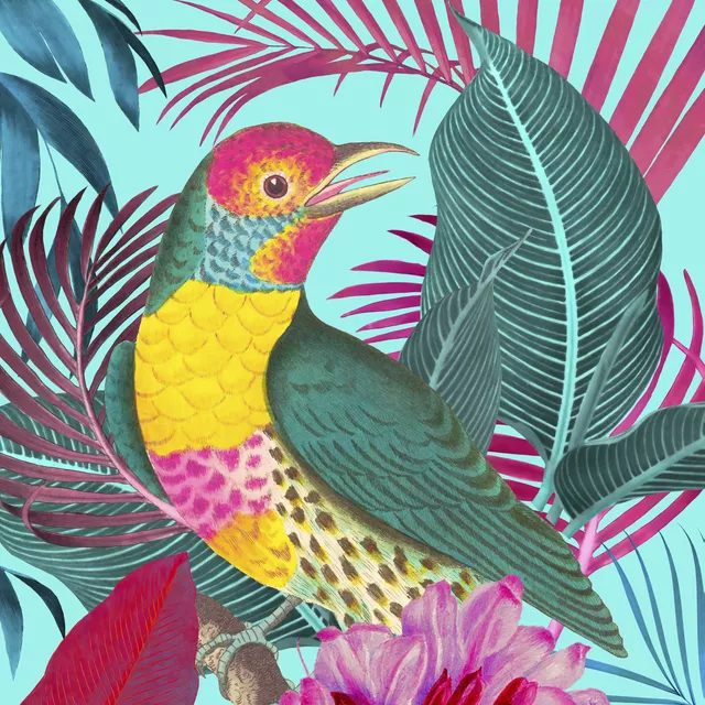 Kissen Tropenvogel Türkis