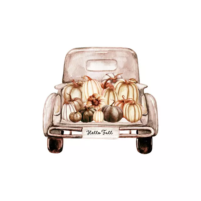 Kissen Pumpkin Truck Beige