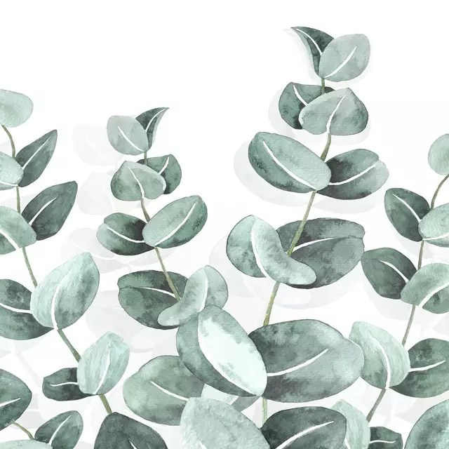 Kissen Eucalyptus Watercolor Leaves