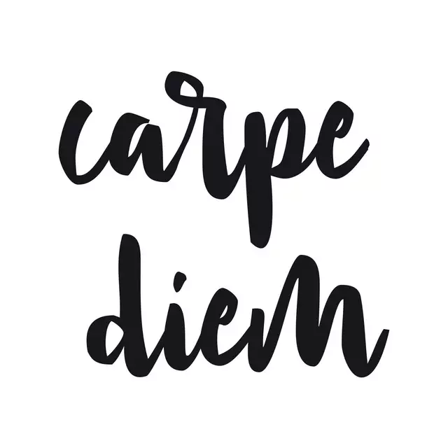 Kissen Carpe diem (Seize the day)