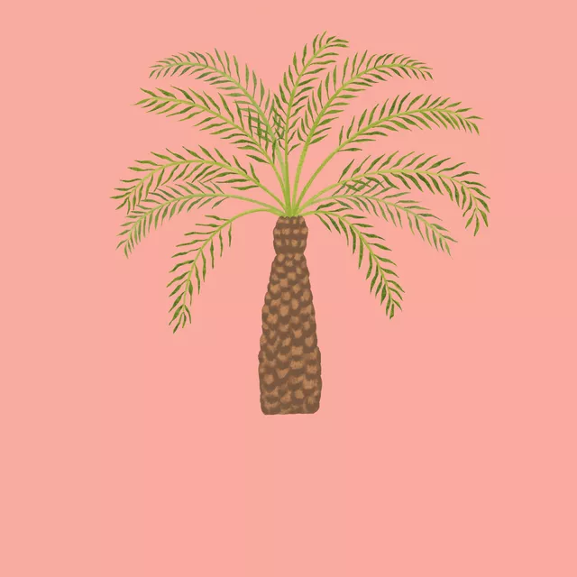 Kissen Palm