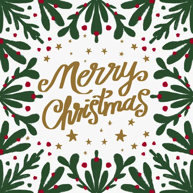 Kissen Merry Christmas Mistelzweig