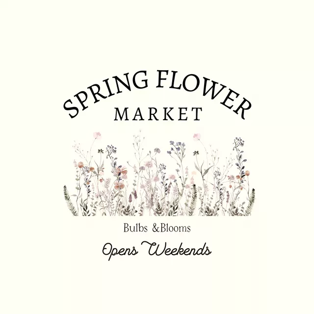 Sitzkissen Coquette Spring Flower Market