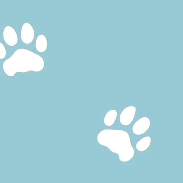 Dekovorhang Eisbär Sleeping Polar Bear