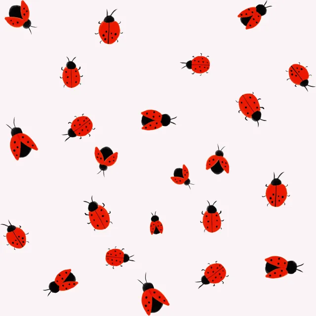 Dekovorhang Marienkäfer Beige